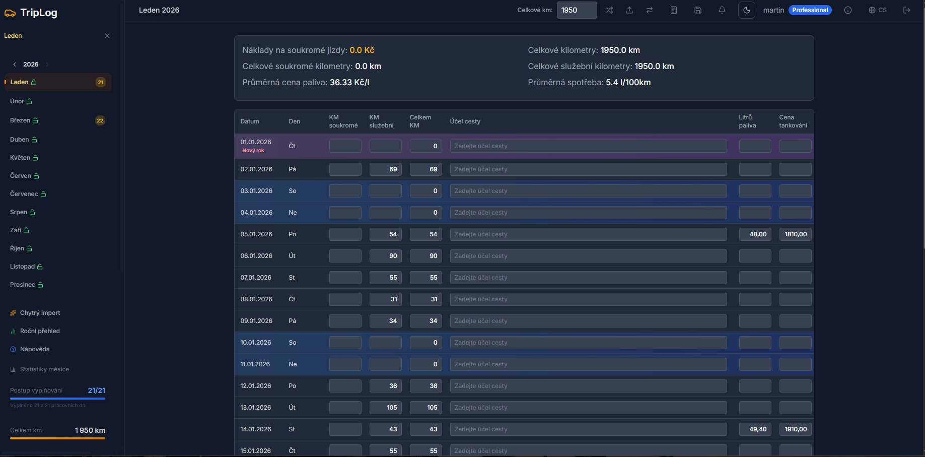 Dashboard with completed month — trip overview, statistics, progress bar